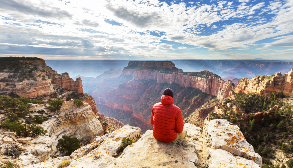 Pessoa admirando o Grand Canyon